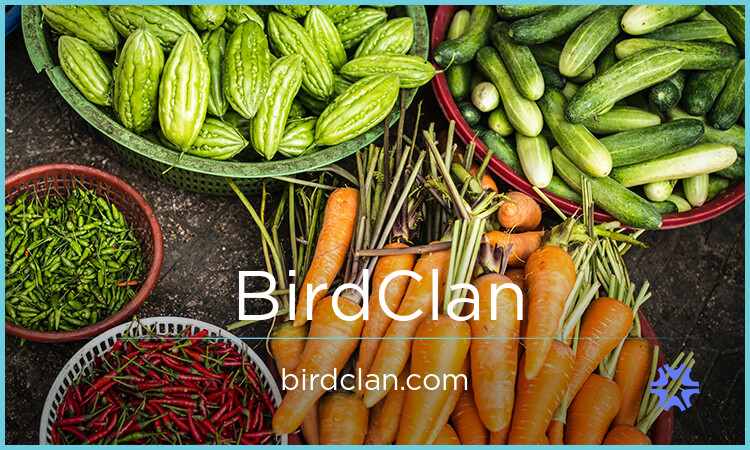 BirdClan.com - buying New premium names