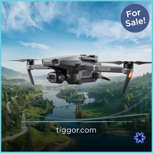 Tiggor.com image 2