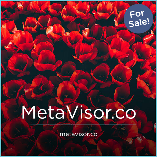 MetaVisor.co - buying Good premium names