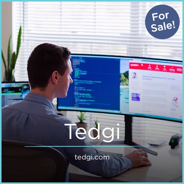 Tedgi.com image 2