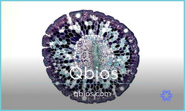 Qbios.com - buy Great premium domains