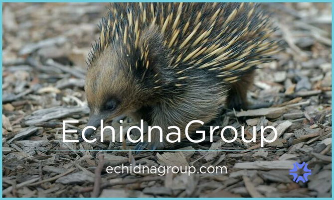 EchidnaGroup.com