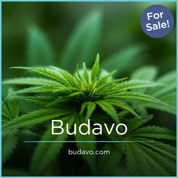 Budavo.com image 2