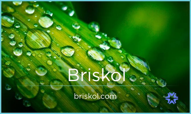 Briskol.com