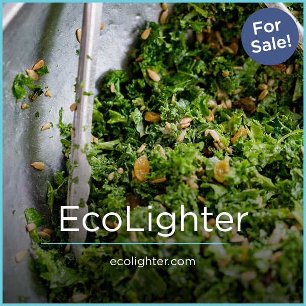 EcoLighter.com image 2