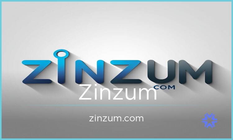 Zinzum.com image 2
