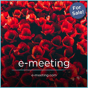 e-meeting.com