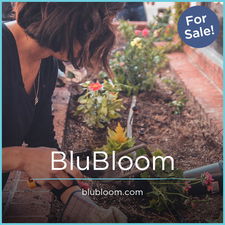 BluBloom.com - Best premium domain names for sale