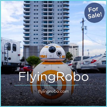 FlyingRobo.com