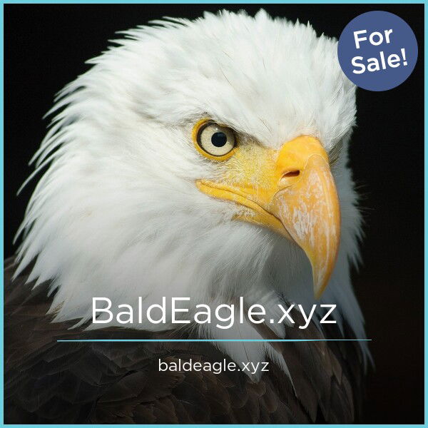 BaldEagle.xyz