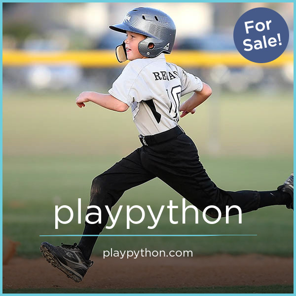 PlayPython.com image 2