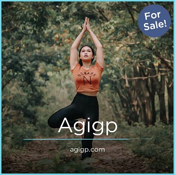 agigp.com