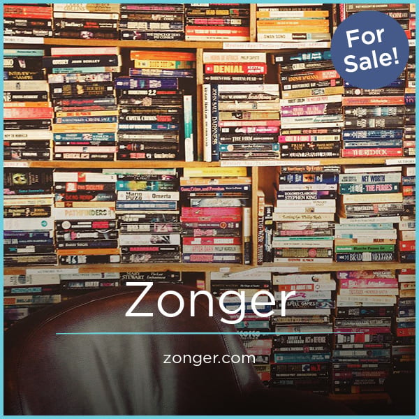 Zonger.com image 2