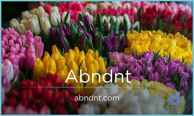 Abndnt.com