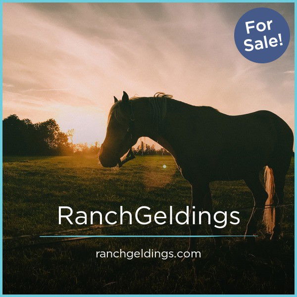 RanchGeldings.com