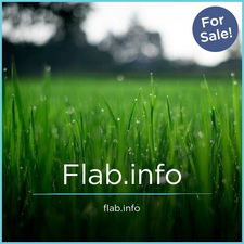Flab.info - Creative brandable domain for sale