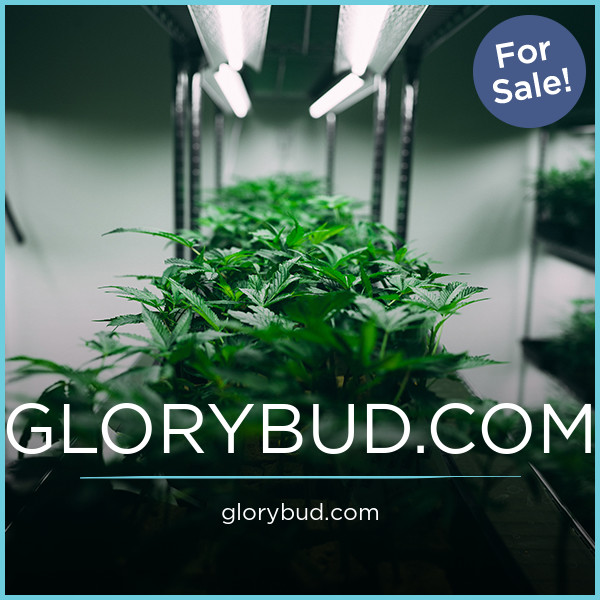 GloryBud.com - Creative premium domains for sale