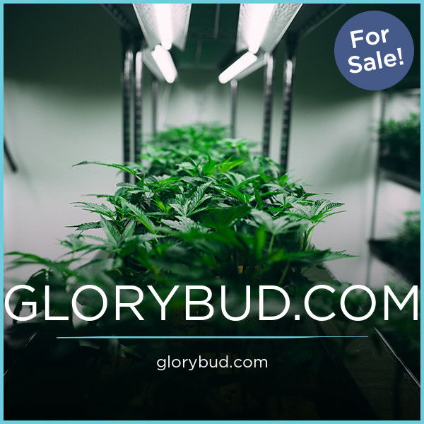 GloryBud.com — 2