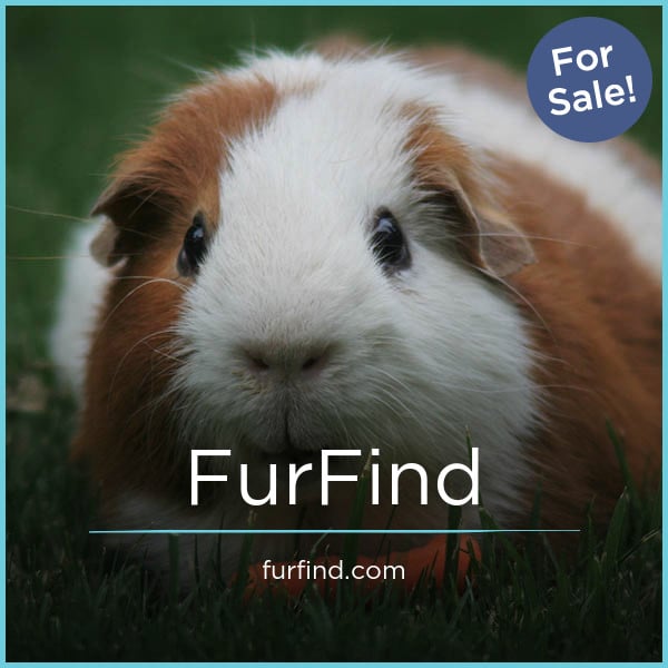 FurFind logo
