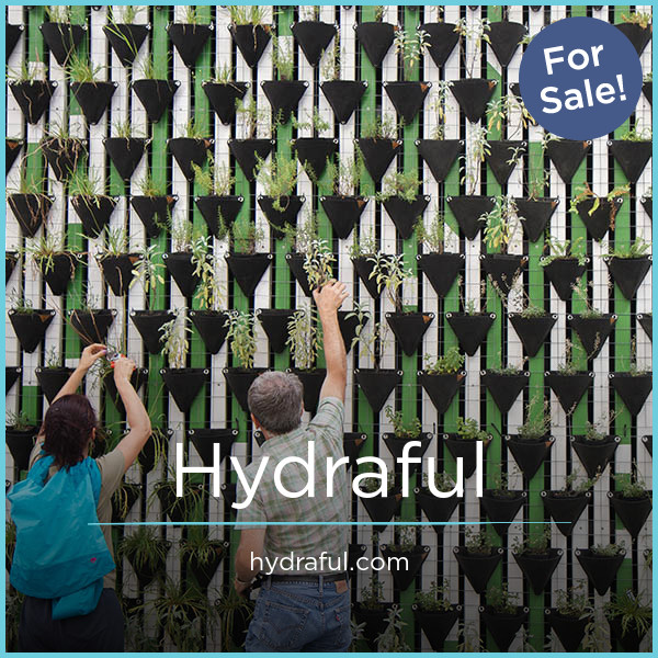 Hydraful.com - buy New premium names
