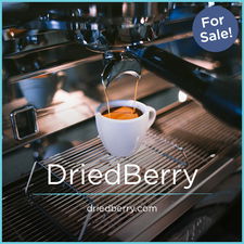DriedBerry.com - Catchy premium names