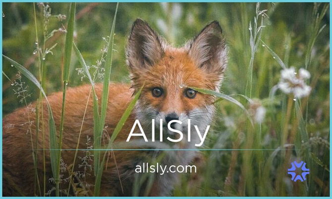 AllSly.com