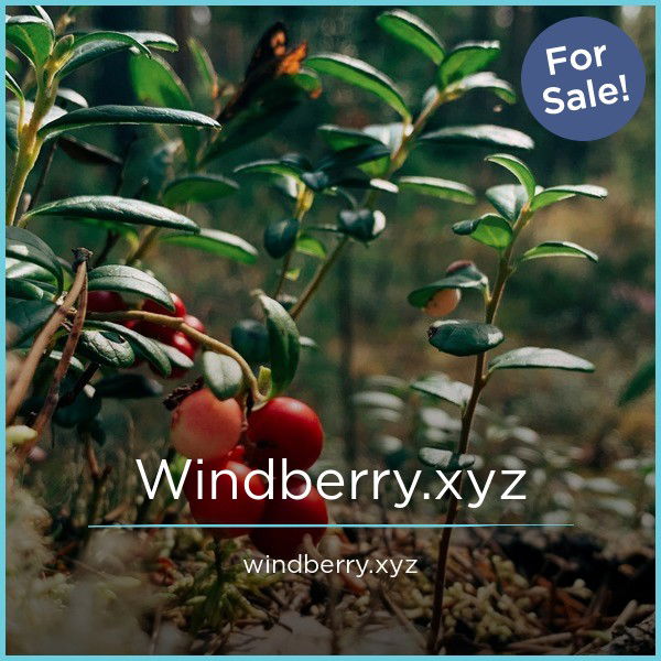 Windberry.xyz