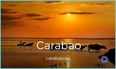 Carabao.eu is for sale