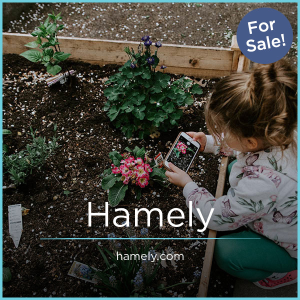 Hamely.com - buy Creative premium domains