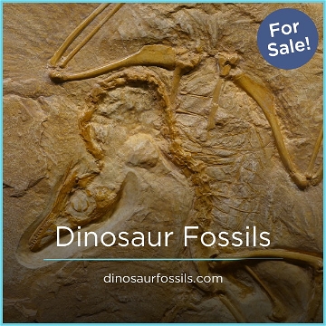 DinosaurFossils.com