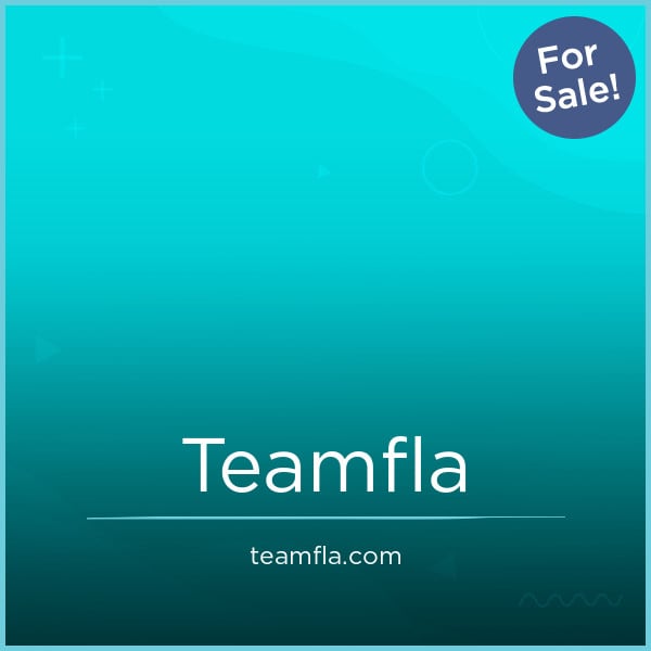 TeamFla.com image 2