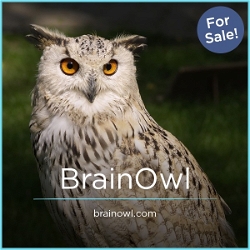 BrainOwl.com - Unique premium domain marketplace