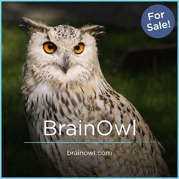 BrainOwl.com