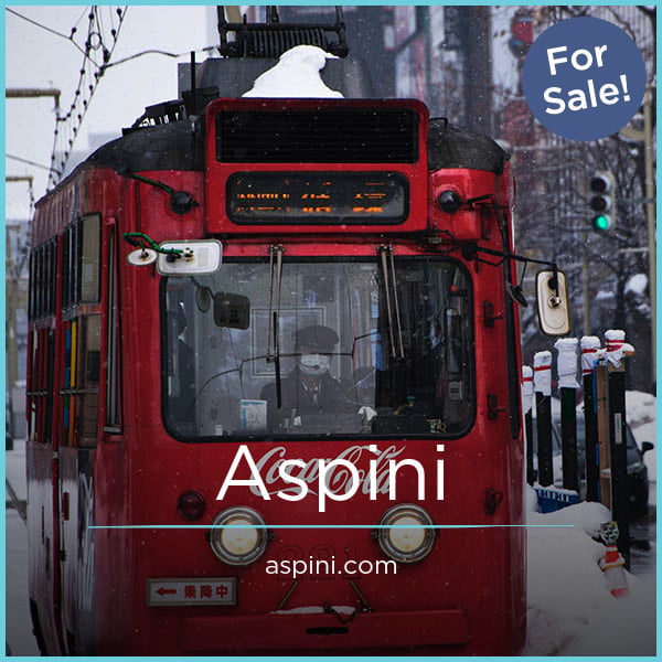 Aspini.com image 2