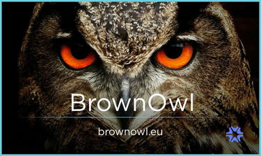 BrownOwl.eu - Creative brandable domain for sale