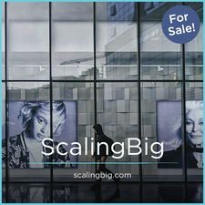 ScalingBig.com - buy Best premium domains