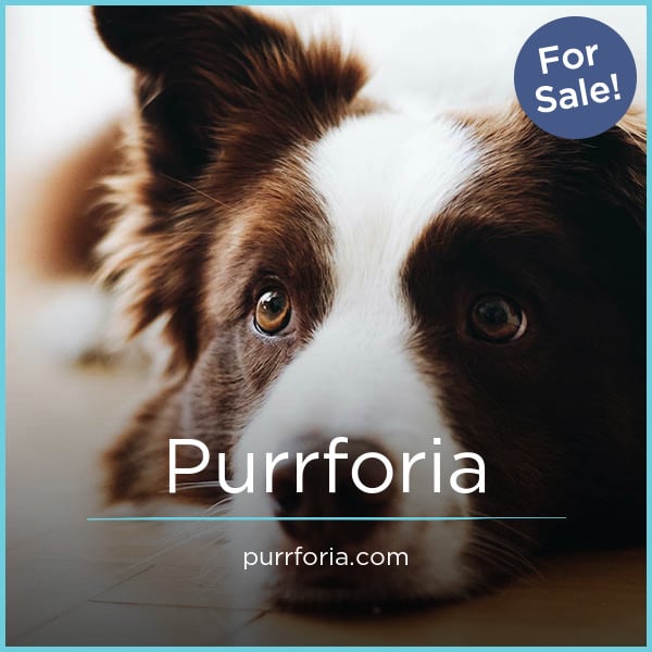 Purrforia.com image 2