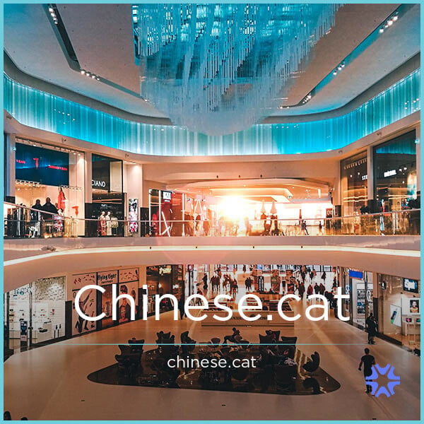 Chinese.cat image 2