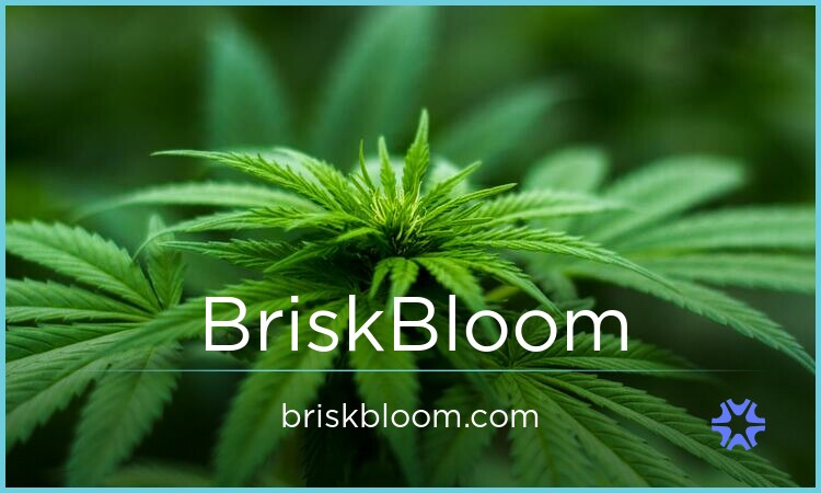 BriskBloom.com — 2