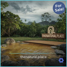 TheNatural logo