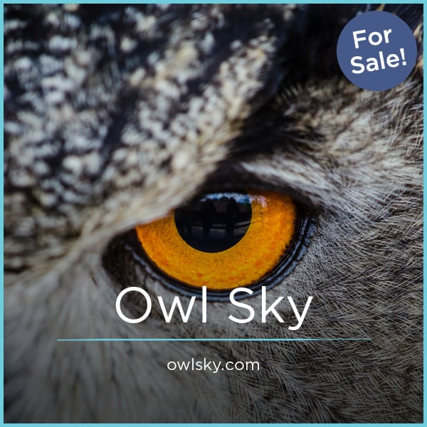 OwlSky.com - Cool domains for sale