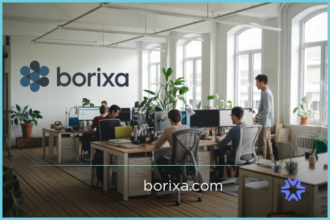 Borixa.com image 2