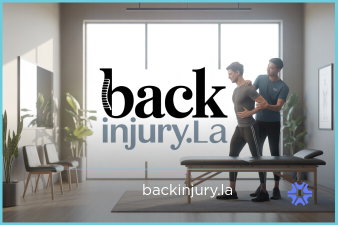 BackInjury logo