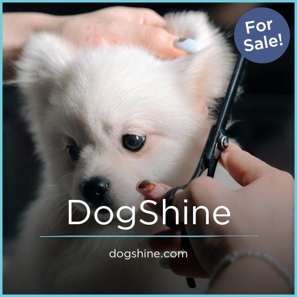 DogShine.com - Best premium domain names