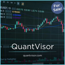 QuantVisor.com - Creative premium domains for sale