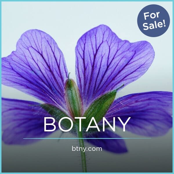 BTNY.com - Creative premium domains for sale