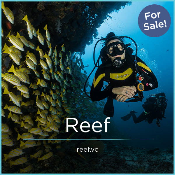 Reef.vc