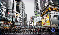 Taqe.com - Catchy premium business names for sale