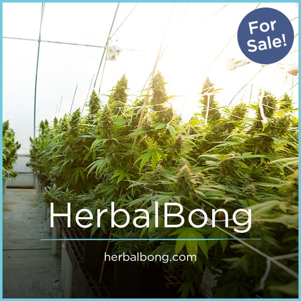 HerbalBong.com - Great premium domain marketplace