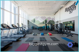BiggestGym.com is for sale